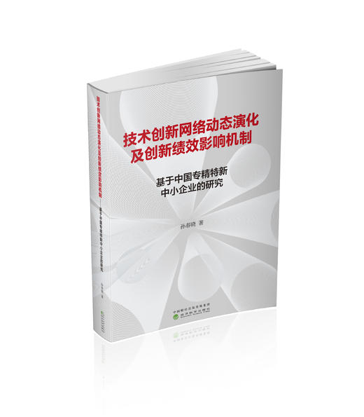 技术创新网络动态演化及创新绩效影响机制---基于中国专精特新中小企业的研究 商品图0