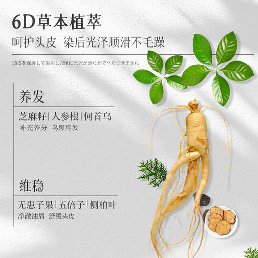 【赠洗发水小样】三个魔发匠 一支黑染发膏 草本植萃 呵护头皮 400ml/瓶 商品图3