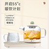 艾青春 二合一养生壶 KBE305 商品缩略图1