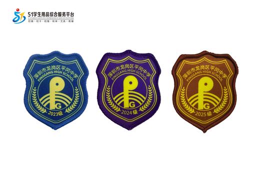 通版深圳市龙岗区平冈中学校徽服包边布标姓名贴章可缝烫现货发51 商品图0