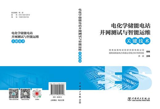 电化学储能电站并网测试与智能运维关键技术 商品图2
