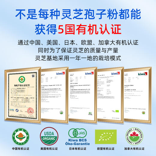 破壁灵芝孢子粉 芝悦颜牌长自山有机种植灵芝孢子粉非胶囊油 10g盒装 商品图2