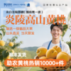 【官方授权】正宗炎陵高山黄桃 精品 一级大果 （4-5两/单果）个大果甜 现货采摘 新鲜直达 按照下单时间排单发货 商品缩略图0