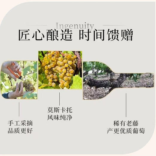 澳邑王酒庄莫斯卡托白葡萄酒 10%VOL甜型 澳大利亚原瓶进口 商品图2