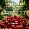 maprao荔枝复合果汁（8瓶） 商品缩略图1