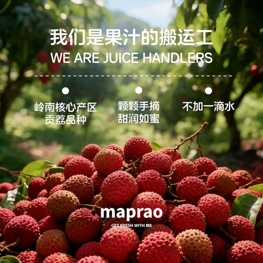 maprao荔枝复合果汁（8瓶） 商品图1