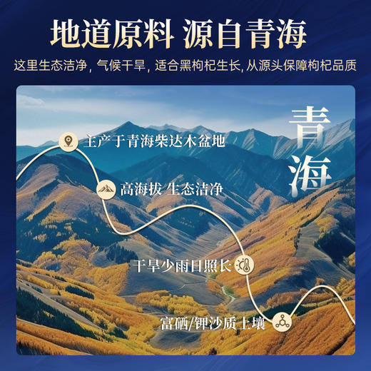 雷允上黑枸杞300g（10g*30罐）/盒 商品图1