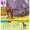 预售 【中商原版】恐龙小百科 港台原版 儿童科普绘本 少儿百科知识图书 精装 全彩 6岁以上 68种热门恐龙全幅彩图书 幼福出版 商品缩略图2
