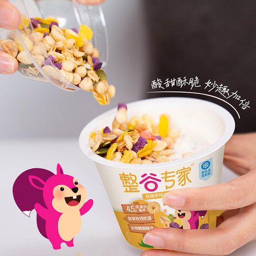 卫岗预制杯整谷专家风味酸奶150g ，保质期21天 商品图4