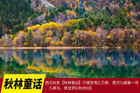 10月20日西北秋色【秋林童话】行摄甘南扎尕那、黄河九曲第一湾、九寨沟、黄龙梦幻秋色9日
