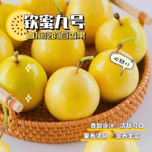猫太推荐---【断层顶流】正宗钦蜜9号百香果 慢生慢长 商品图2