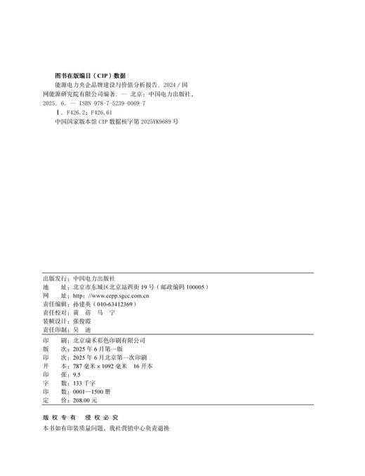 能源电力央企品牌建设与价值分析报告 2024 商品图3