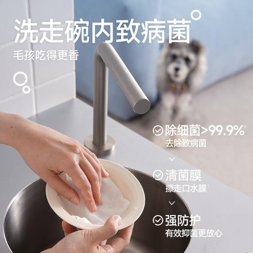【新品上市】Lorde里兜宠物餐具清洁泡泡巾狗狗猫咪餐具清洁 商品图3