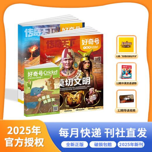 2025年杂志系列 好奇少年/少年新知/好奇号/阳光少年报/万物 商品图5