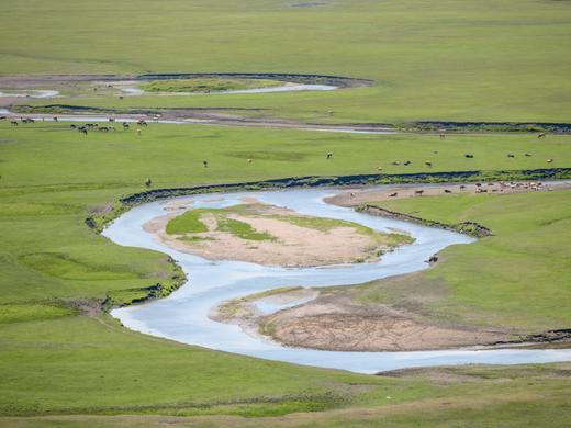 呼伦盛夏 内蒙呼伦贝尔大兴安岭7日 商品图10