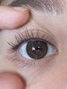 cherrybee月抛美瞳 牛奶光 14.2mm 商品缩略图0