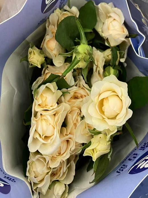 国产多头黄美琴玫瑰10支 商品图5