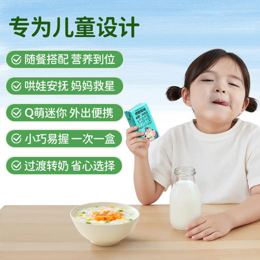 奶爸牧场A2β-酪蛋白娟姗水牛纯牛奶125ml儿童营养奶原生高钙三箱 商品图4