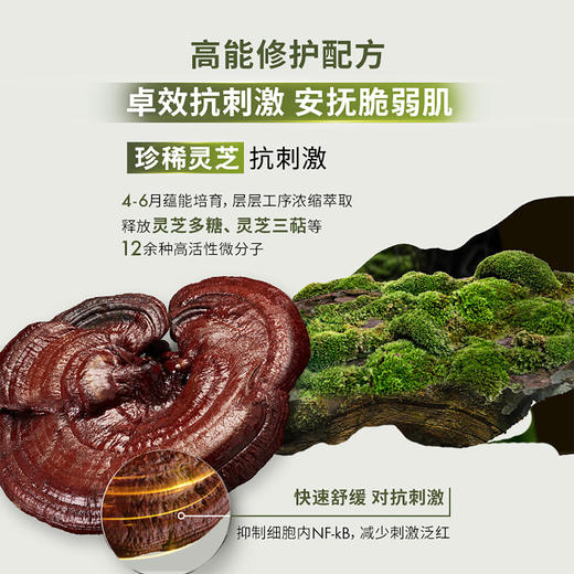 Y717334257801-4 悦木之源Origins 【修护舒缓】悦木之源菌菇水200ml灵芝精华爽肤水礼盒装补水 商品图1