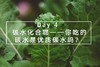 Day 4：碳水化合物——你吃的碳水是优质碳水吗？ 商品缩略图0