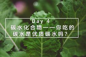 Day 4：碳水化合物——你吃的碳水是优质碳水吗？
