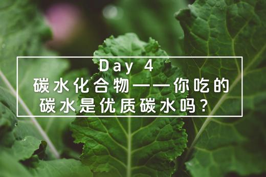 Day 4：碳水化合物——你吃的碳水是优质碳水吗？ 商品图0