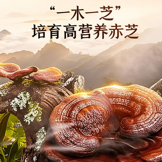雷允上芝岐破壁灵芝孢子粉胶囊27g/瓶（0.3克/粒×90粒） 商品图5