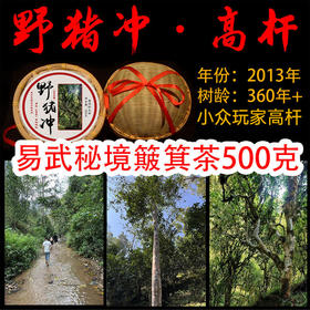 易武小众宝藏茶——“野猪冲”