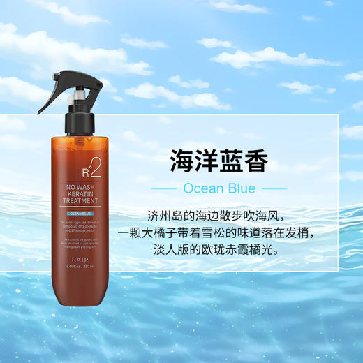 RAIPLAB露博森 角蛋白精华免洗香氛护发素受损干枯头发护理顺滑护发喷雾 250ml/瓶 商品图7
