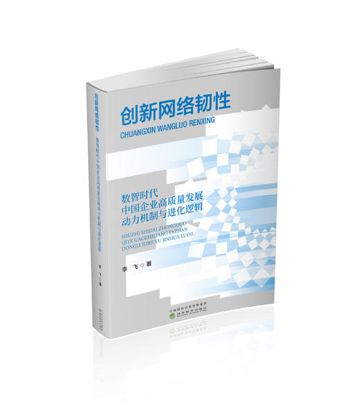 创新网络韧性:数智时代中国企业高质量发展动力机制与进化逻辑 商品图0