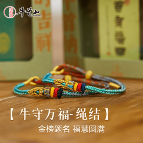 牛首山文创绳结手串编织手链五彩绳精致中式高级感端午节礼品