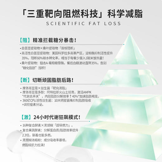 REGSERAPH女性白芸豆益生菌顽固身体重管理直击代谢腰腹肚阻断糖 商品图3