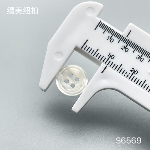 S6569(整包购买) 商品图3