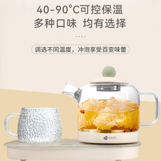 艾青春 二合一养生壶 KBE305 商品图2