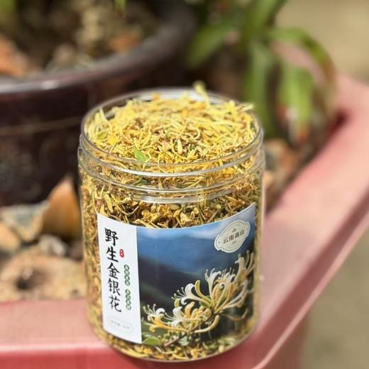 纯野生金银花 商品图3