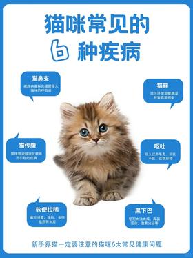 猫咪常见的6种疾病❗❗