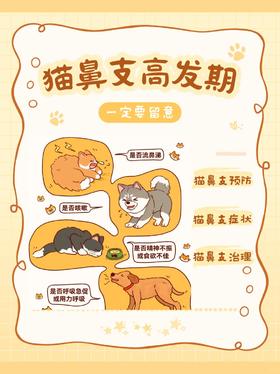 猫鼻支高发期❗铲屎官一定要留意❗