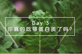 Day 3：你真的吃够蛋白质了吗？