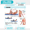 核心训练解剖挂图 健身训练计划 健身路线图 商品缩略图2