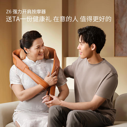 6F 倍轻松 z6,棕色 商品图2