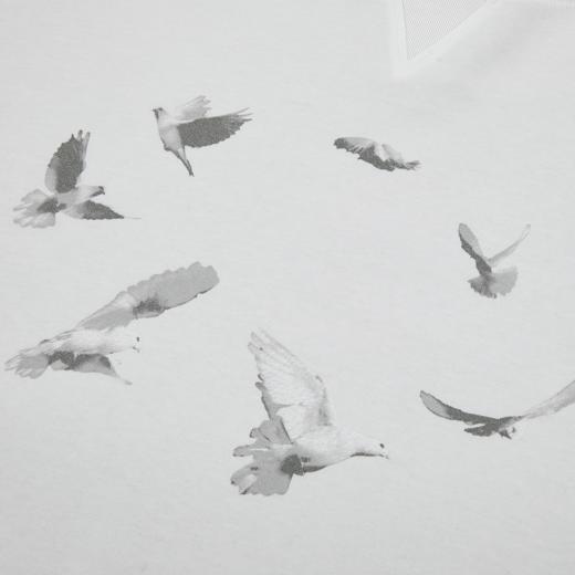 GOODBAI 916 白鸽环绕印花撞色拼接圆领长袖T恤 商品图4