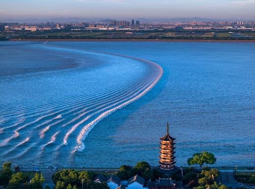 【航拍团】“钱塘江大潮”追潮、潮汐树4天摄影团 商品图5