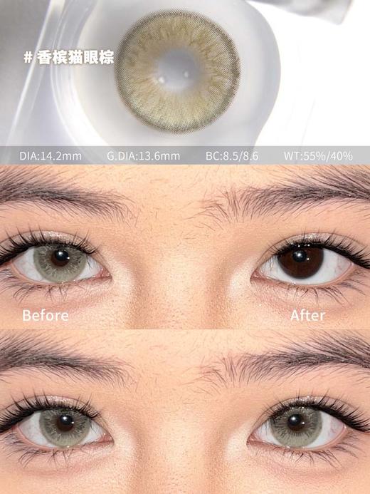 Serltyca 日抛 六片 香槟猫眼棕 直径14.2mm着色13.6mm 商品图3