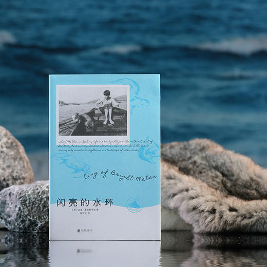 闪亮的水环 | 苏格兰小屋十年幽居，水獭室友双生奇缘，畅销 200 万册自然文学经典，改编电影笑中带泪。罗伯特・麦克法伦推荐 商品图3