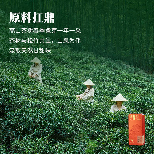 八马茶业 | 鼎红10000·金骏眉尊享装单罐（16.8克） 商品图2