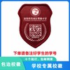 定制深圳市龙岗区雪象小学包边校徽礼服布标姓名章可缝可烫现货51 商品缩略图0