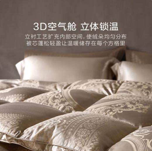 罗莱家纺轻奢提花波兰进口95白鹅绒冬被二合一被 二合一被 200cm*230cm 商品图3