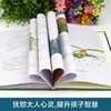 世界经典文学名著正版无删减-小王子【精装正版】 商品缩略图2