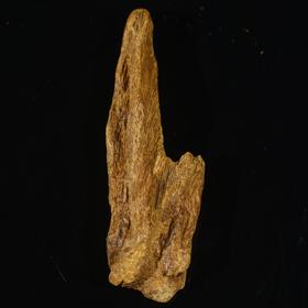 BC.SN5-8.4-2 富森红土沉水(纯肉)原材 ，12.93g