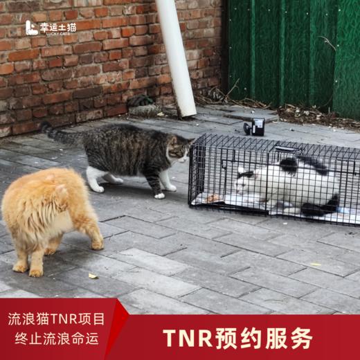 TNR预约服务 商品图0
